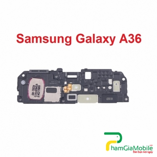 Loa Chuông, Loa Ngoài Samsung Galaxy A36 SM-A366B Speaker Ringer Buzzer
